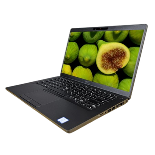 Ноутбук Dell Latitude 5400 14" (i5-8365U/DDR4 8GB/SSD NVMe 256GB) SR 121223РР фото