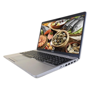 Ноутбук Dell Latitude 5510 15.6" (i5-10310U/DDR4 16GB/SSD NVMe 256GB) SR 197074PP фото